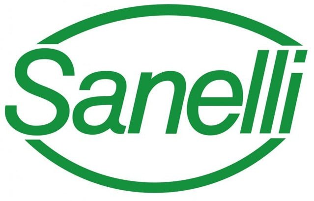 Sanelli HORECA Meat & BBQ - Schlacht - und Bankmesser - 24 cm - BERUFSMESSER.de