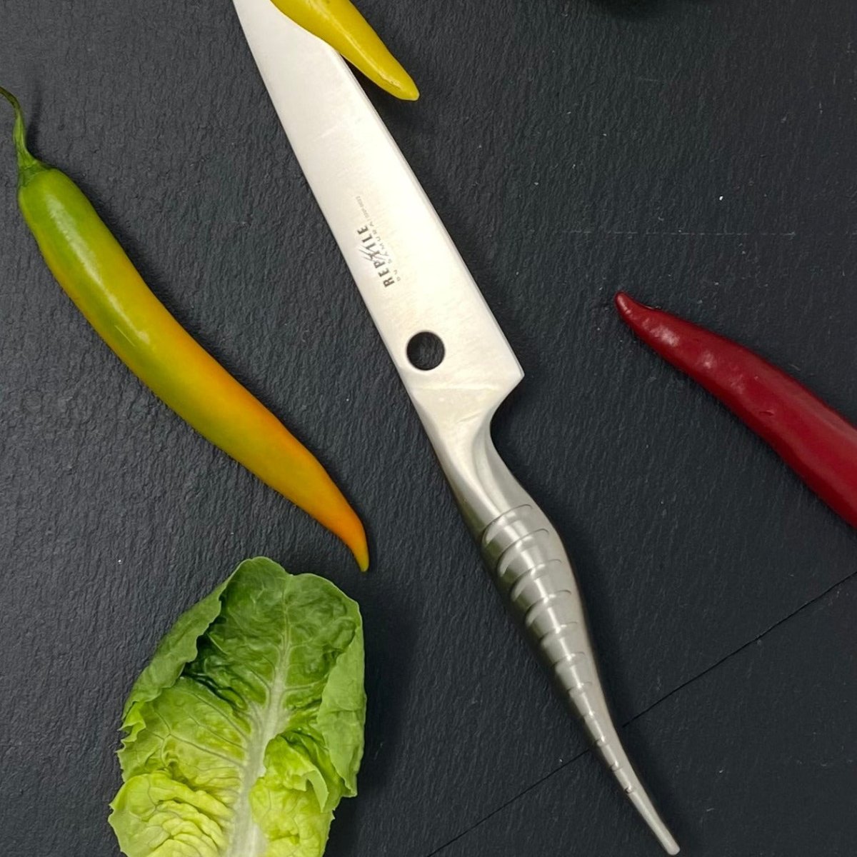 Samura REPTILE Utility knife - Allzweckmesser - BERUFSMESSER.de